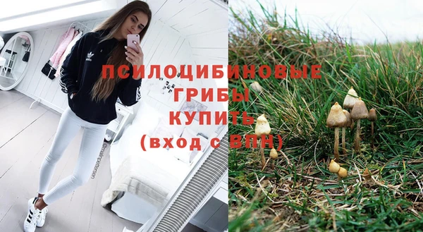 каннабис Арсеньев