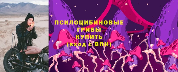 герыч Алзамай