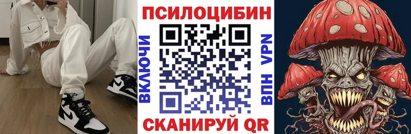 Псилоцибиновые грибы Psilocybine cubensis  Купить  Гудермес 